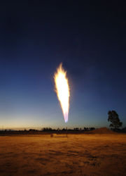 coal bed1 Natural Gas To Be Produced by Coal Eating Microorganisms