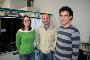 fotosintesis grupo 300x200 Dye Sensitized Solar Cells Got Better by Using Ionic Salts