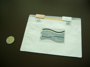 1 japanesescie 300x225 MIESC's Printable Battery at International Rechargeable Battery Expo