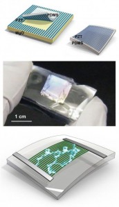 piezoelectric nanoribbon 172x300 New Piezoelectric Flexible Nanoribbons Prove 80% Efficient Conversion