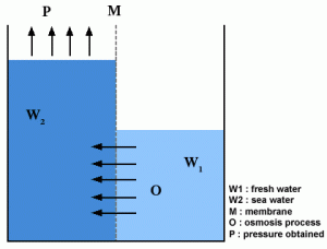 pressure-retarded-osmosis pressure retarded osmosis 300x228 Dutch & Norvegian Researchers Say Osmosis Power Plants Could Suffice World's Electricity Needs