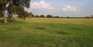 Dorset solar plant 300x153 UK Large Scale Solar Power Plant to Power 1,000 Dorset Homes