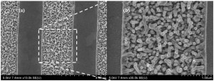 tobacco mosaic virus battery 300x114 Tobacco Virus Could Enhance Lithium Ion Batteries' Capacity Tenfold