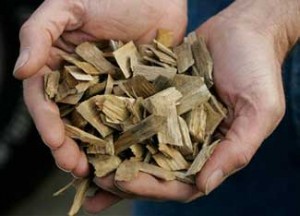wood chips gasoline 300x216 Newly Discovered Process Makes Gasoline From Wood Chips