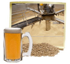 beer-malting-process beer malting process Maltless Beer: The Greener and Cheaper Solution for Brewers