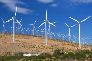 texas wind farm 5 300x200 Wind Farms Warm Local Climate Slightly, Albany Study Says