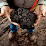 NASA Scientist Warns About Canadian Tar Sands' Potentially Catastrophic Impact on Climate