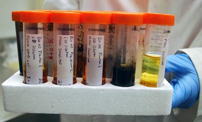 48679 web Iowa Engineers Aim to Produce Advanced Biofuels by Directed Mutation of Microbes