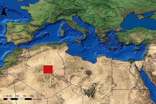  OPEC Turns to Renewable Energy to Get More Green