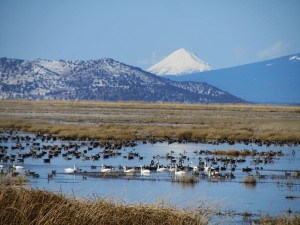 Klamath Basin 300x225 Pacific Northwest’s Klamath Basin a Possible Site for Geothermal Energy Plant