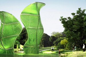 bioreactor1 300x200 Photobioreactor Will Provide Cheap and Efficient Energy Storage