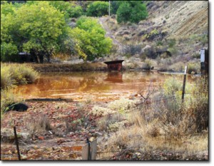 mercury 300x233 Mercury Pollution Slows Down Brain Development 