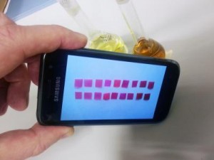 52570 web 300x225 How to Measure Mercury Contamination With a Mobile Phone