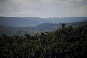 download 1 300x200 CO2 Acts as Fertilizer to Amazon Forests, Climate Warming Not Dangerous