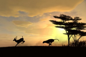 tumblr ljm7l0m76y1qj2b1ko1 500 300x197 Freshwater Ecosystems Emit More Carbon as Predators Are Removed, Study Says