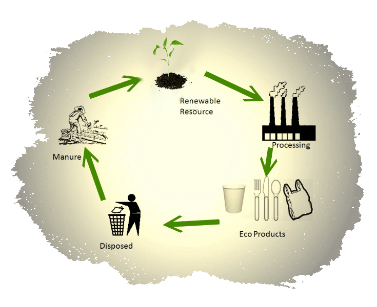 Экологичность всего жизненного цикла. Экологичность продукции. Экологичность материалов. Экологически чистые товары. Биоразлагаемая пластмасса.